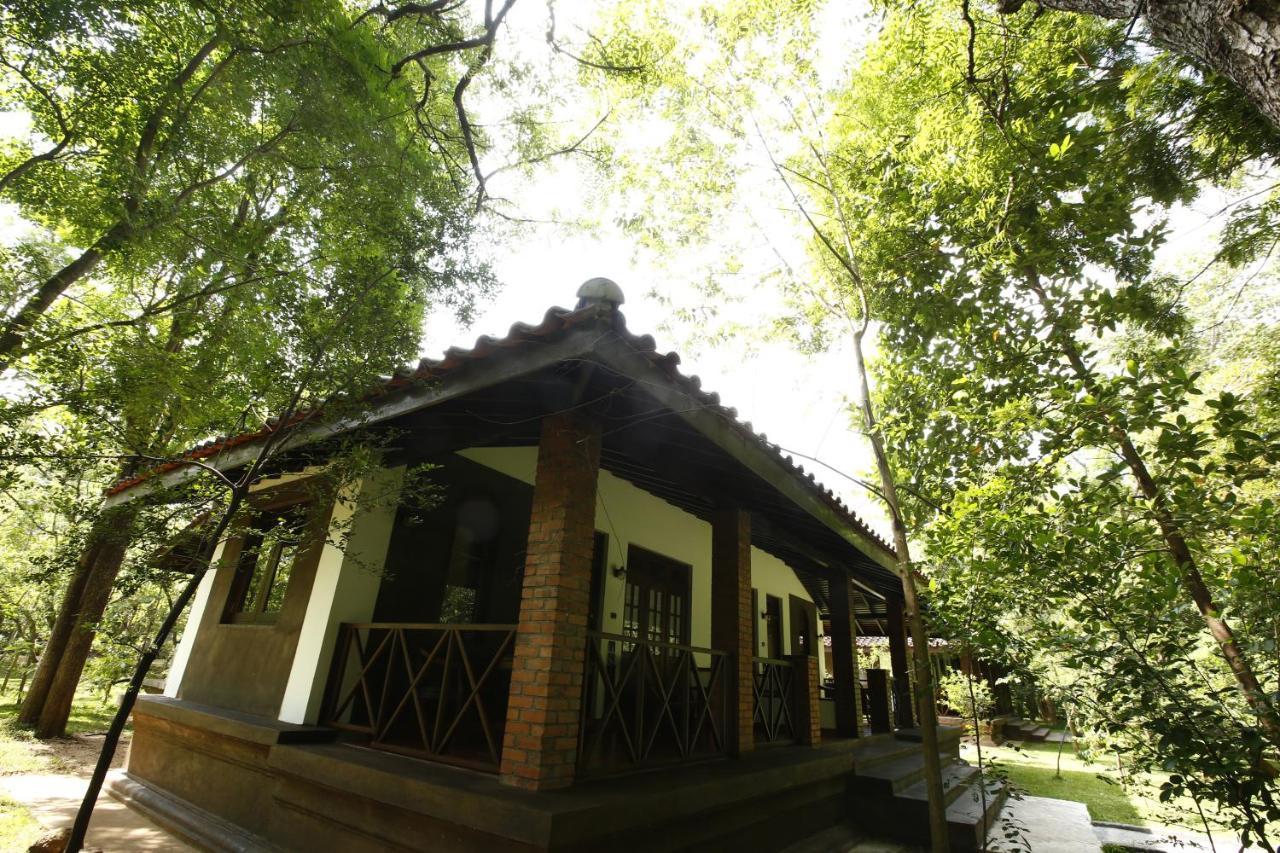 Palm Garden Village Hotel Anuradhapura Buitenkant foto